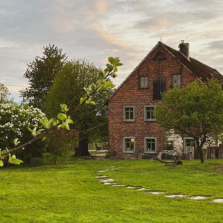 Bed and Breakfast Dom Na Krzewiu Gryfów Śląski Esterno foto