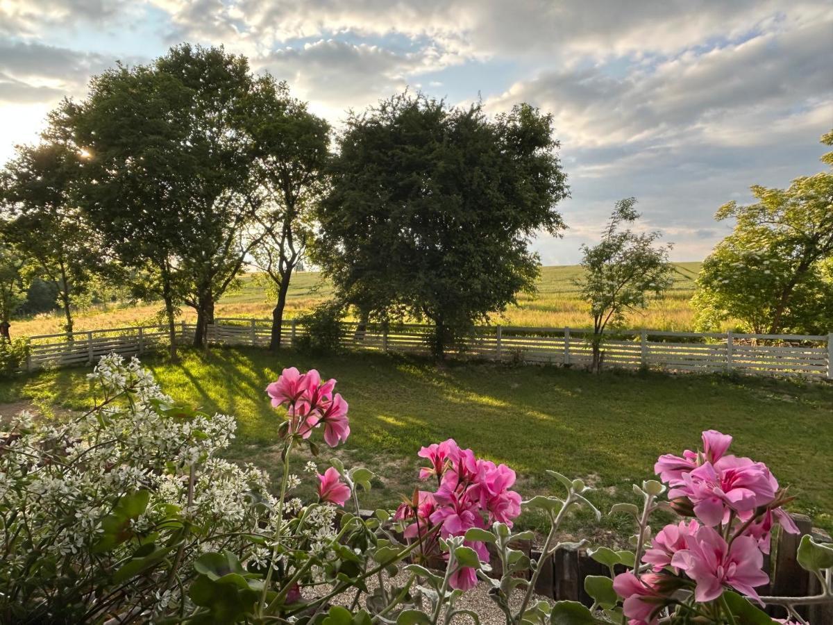 Bed and Breakfast Dom Na Krzewiu Gryfów Śląski Esterno foto