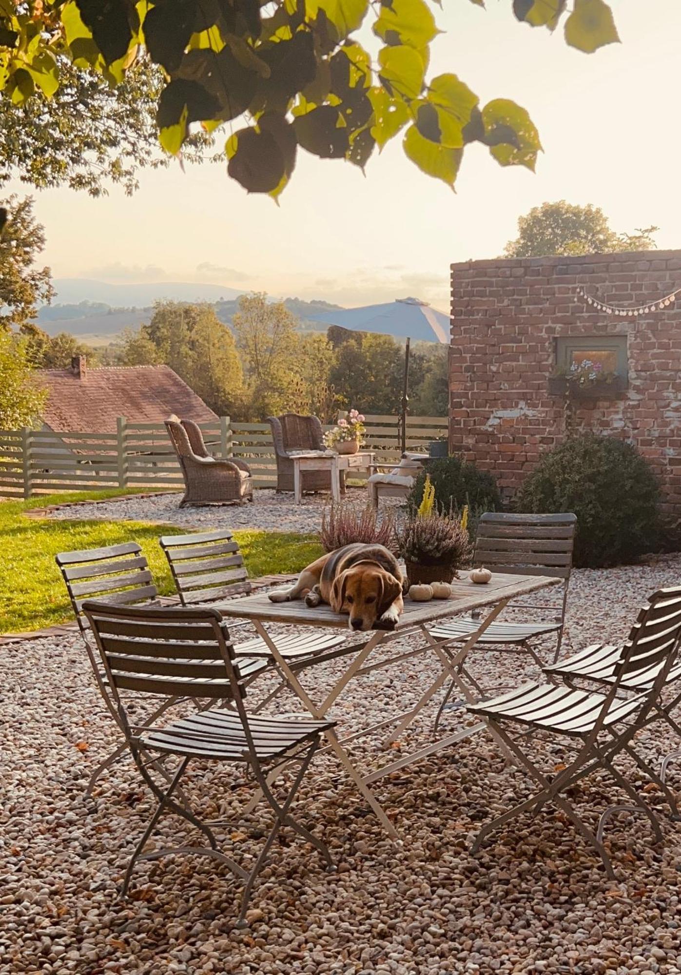 Bed and Breakfast Dom Na Krzewiu Gryfów Śląski Esterno foto